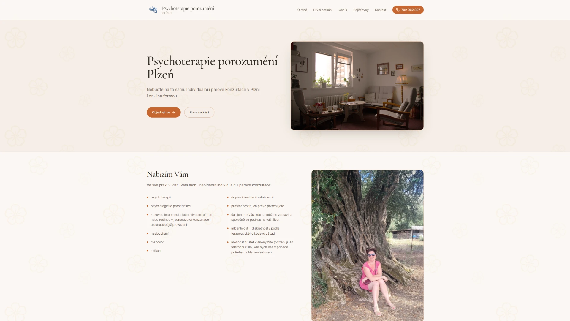 Psychoterapie porozumění